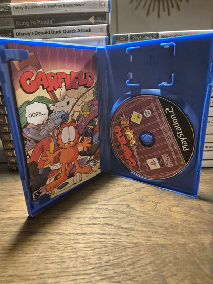 Garfield PS2