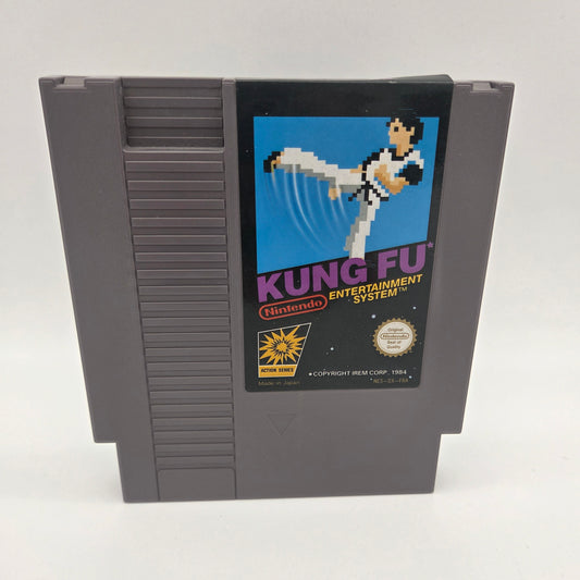 Kung Fu NES